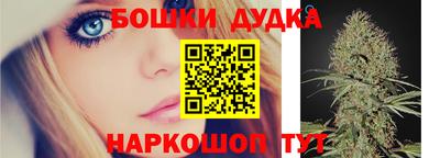 крисы Краснокаменск