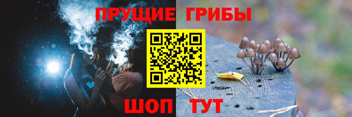 Галлюциногенные грибы прущие грибы Донецк
